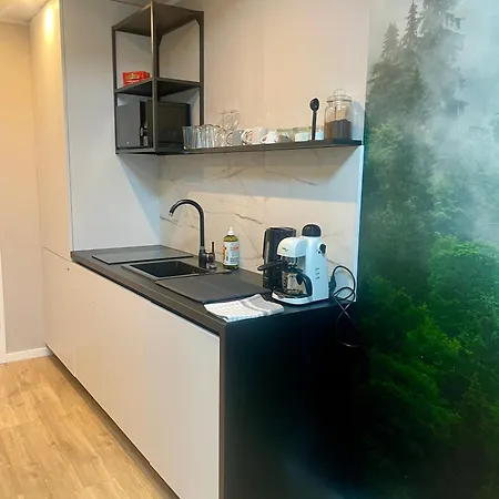 Lejlighedshotel Plac Wolnosci 6 Airconditioning Poznań