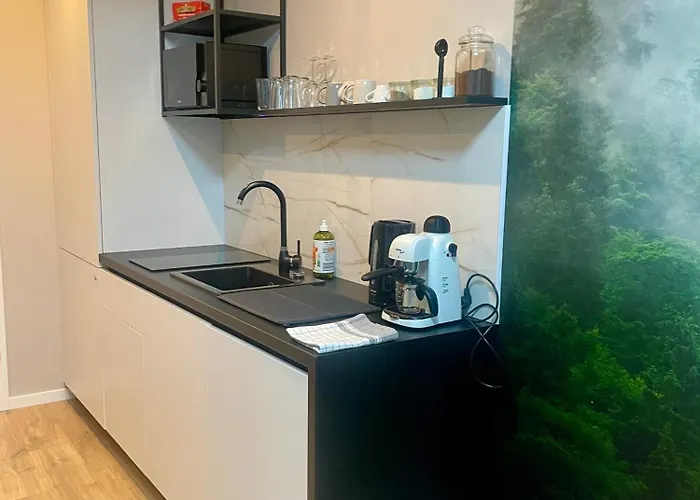 Apartmanhotel Plac Wolnosci 6 Airconditioning Poznań